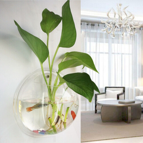 (S) Hydroponic Fish Tank Vase for Home Office 2