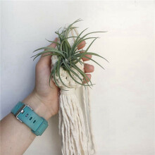 10X Boho Macrame Wieszak na RośLiny Tillandsia WisząCy Kosz Uchwyt na Linę Kwiat Home Decor (13 CM)