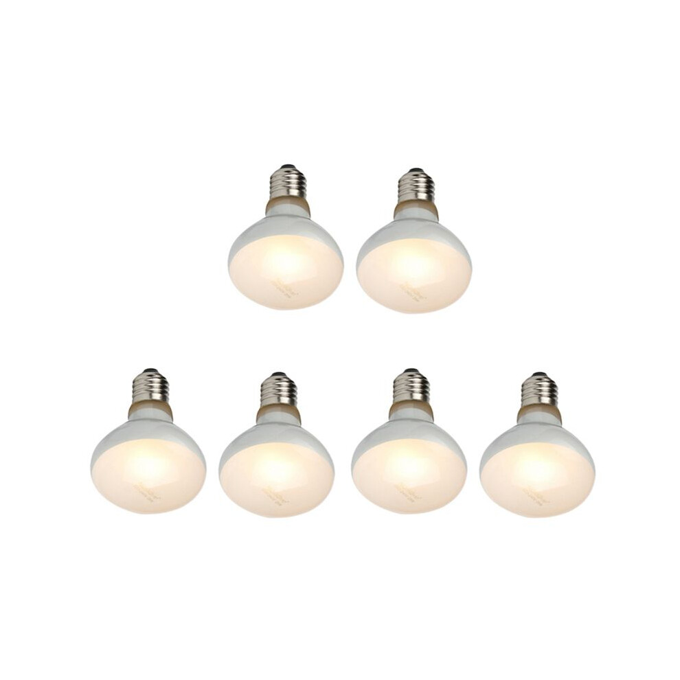 Nomoypet 6 Pack Reptile Uvb Uva Heat Lamp Bulb For Reptiles Truly Sun-Like Bright Heat For Reptiles, Amphibian (100 W) Light 6032923178829