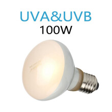 NOMOYPET Lampadina Uva Uva Rettile da 6 Pezzi per Rettili Calore Luminoso Come il Sole per Rettili, Anfibi e Uccelli (100 W)