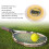 1.25mm Polyester Tennis String 200M Golden Yellow Bead Resistant 5