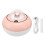 Mini Humidifier Cat Sculpture USB Desktop Humidifier 1