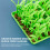 Cat Silicone Slow Feeder Mat - Anti-Choking 7
