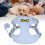 Small Dog Reflective Harness with Traction Rope, Blue M 3