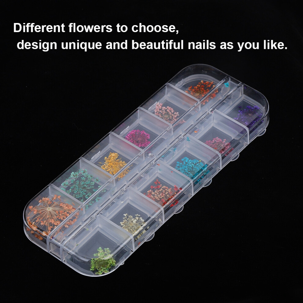 Natural Dried Flower 12-Color Nail Art Tips for Acrylic & Gel Polish DIY Design
