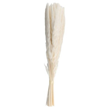 40Pcs Natural Dried White Pampas Grass 45CM Fluffy and Swinging DIY Boho Plant for Wedding Flower Arrangements Decor