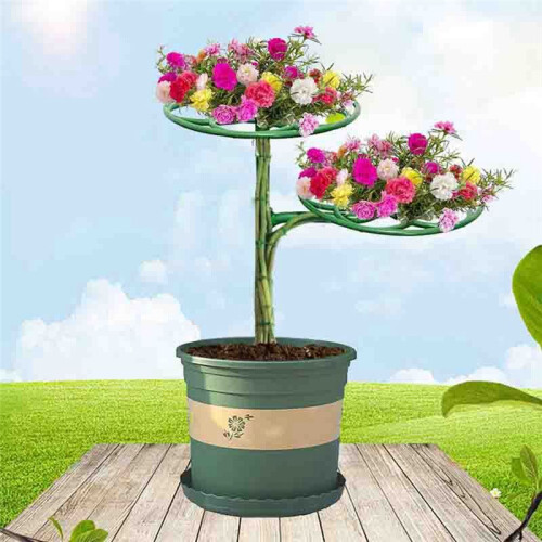 2 Set Sunflower Flower Support Stand Two-Layer Plant Support Rack for Climbing and Grafting 2