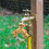 Brass Garden Hose Splitter (2 Way), Solid Brass Hose Y Splitter 2 Valves 6
