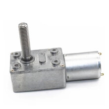 24V 10RPM Self Locking DC Worm Gear Motor with M8 Threaded Shaft and Reversible CW CCW Rotation
