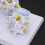 4-stage Lumbar Vertebrae Models, 1 set, PVC, color 4