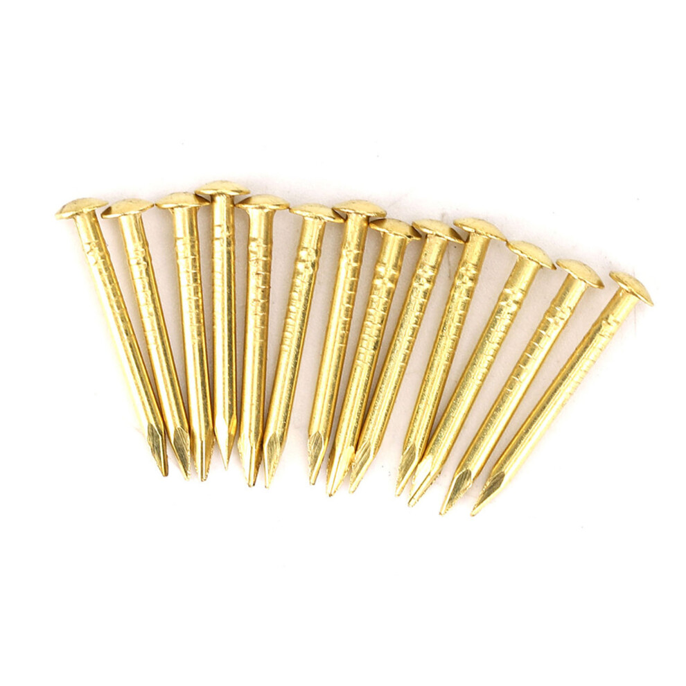 Furniture Hardware Brass Nails 100Pcs Round Head Hinges 10Mm/15/18/22Mm Sized 5071389372663