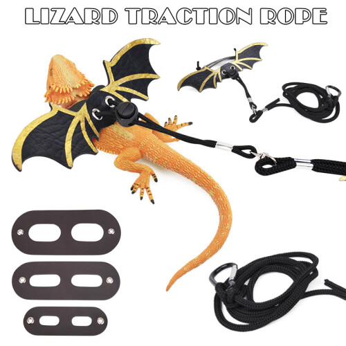 3pcs Reptile Leash Set, Adjustable Strap