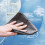 Multi-Purpose Thick Cleaning Cloth 3