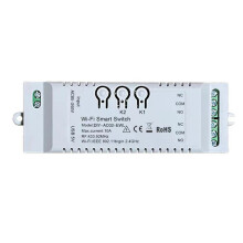 2CH WiFi DIY Timer EWeLink 85-265V 2.4G WiFi+RF433+BT Home Automation Module för Alexa Home IFTT