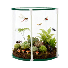 Butterfly Habitat Cage with Breathable Mesh, Foldable Design and Easy Access for Caterpillar Growing