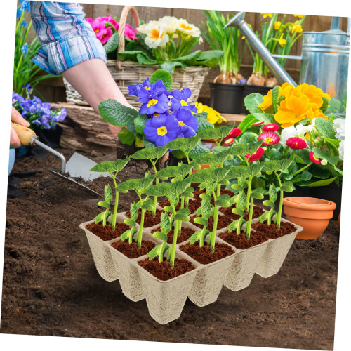 Seed Starter Kit with 12Cell Biodegradable Seedling Pots, Tools and Labels for Home Gardening 2
