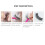 3D Self Adhesive False Eyelashes No Stimulation 02# Lightweight & Soft 3
