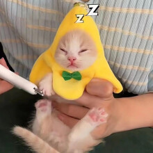 Cat Banana Hat Halloween Costume for Pets