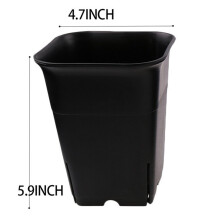 24 Stücke Pack Schwarzes Quadrat Kunststoff Sukkulenten Blumen Topf für Pflanzen Blumen Kaktus, Etc., Schwarz Kinder Garten Blumen Topf