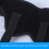 Adjustable Male Inguinal Hernia Support Belt Black L 5