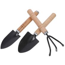 Garden Tool Set with Mini Shovel and Rake for Succulents and Potted Plants Wooden Handles
