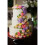 Acrylic Round Cake Disk Set,Acrylic Cake Discs Set,Comb Scrapers,Dowel Rods,Icing Scraper,Acrylic Scraper Smoother 3