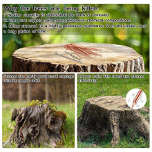 40 Stuks Koperen Spijkers Om Bomen Te Doden, 3,5 Inch Puur Koperen Spijkers Bulk, Stompverwijdering Spikes Hardwarespijkers voor Bomen