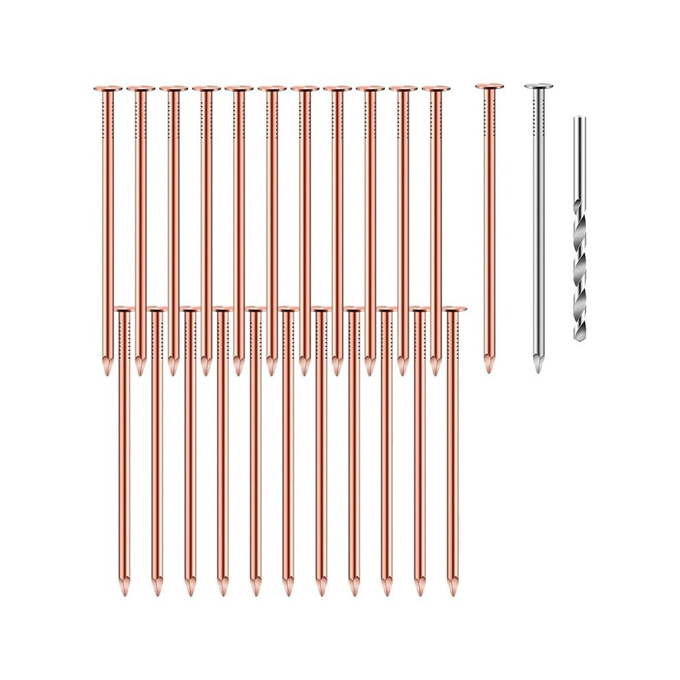 3.5 Inch Pure Copper Nails Bulk Stump Removal Spikes Hardware Nails For Trees 25Piece 4712893078313