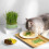(Green Without Seeds) Cat Grass Kit with Tray - PP Round Planter 4