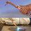 Oxygen & Acetylene Torch Kit,Welding Kit,Cutting & Brazing Torch Kit,Oxy Acetylene Torch Set 5