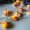 Μοναδικά Φωτιστικά LED σε σχήμα κοχυλιού σε παράκτιο στιλ με εύκαμπτο χάλκινο 8