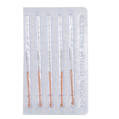 Mikronadel-Set: 5x klein,1x groß,Silber 0,2/0,1 cm 2
