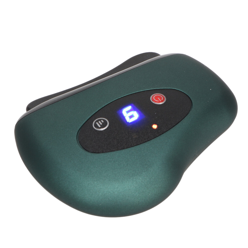 Stone Needle Electric Gua Sha Face Massager with 9 Vibration Levels & Heating