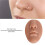Coffee Silicone Mouth and Nose Model 90x65mm 4