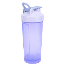 600ML Purple Water Bottle with Wire Whisk & Stainless Steel Shaker