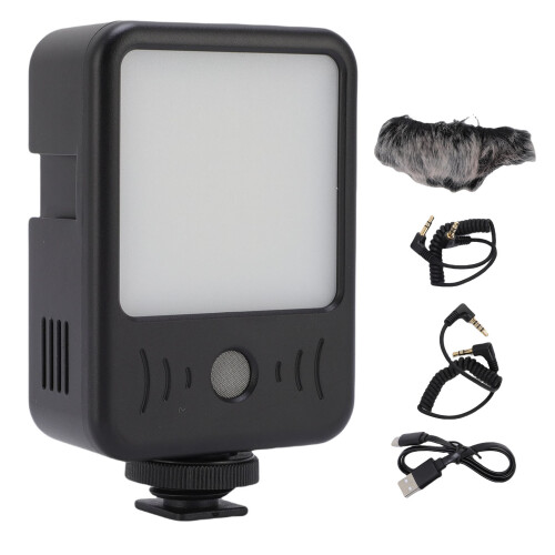 LED-Kamera-Licht 49 LEDs 6500 K Pro 2000 mAh 2