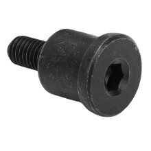 Timing Chain Guide Bolt 90003 PNA 000 High Strength Metal Tensioner Pivot