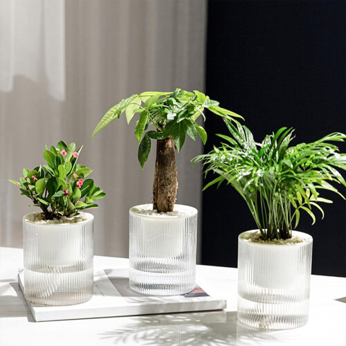 (15CM) Water-Saving Desktop Planter for Home Decor 1