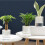 (15CM) Water-Saving Desktop Planter for Home Decor 5