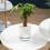 (15CM) Water-Saving Desktop Planter for Home Decor 6