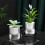 (15CM) Water-Saving Desktop Planter for Home Decor 1