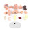 Human Brain Anatomy Model with Removable Sections for Medical Study and Classroom Teaching 3