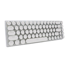 RGB Backlit Wired Mechanical Keyboard 68 Keys Blue Switch White