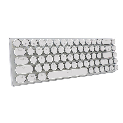 RGB Backlit Wired Mechanical Keyboard 68 Keys Blue Switch White