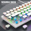 RGB Backlit Wired Mechanical Keyboard 68 Keys Blue Switch White 5