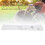 PU Velvet Alignment Stick Cover for Training White Silver Gray Star 4