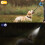16.4ft LED Light Retractable Dog Leash, 45kg Pulling Force 5