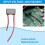 AC 220V A  5V/1A  Trasformatore 5W Impermeabile Epoxy Potting Light Power Supply Interruttore Modulo Driver 8