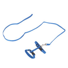 Leichter blauer verstellbarer Katzenhalsband- und Leinen-Set, ausbruchssicher und bequem