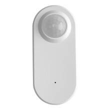 Graffiti Zigbee MäNsklig NäRvarosensor Pir MäNniskoröRelsesensor Batteridriven Sensor